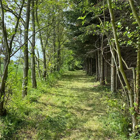 Chalet Cirkusvognen Pa Aero Marstal